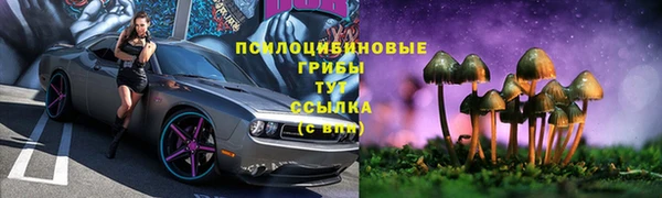 а пвп мука Богородицк