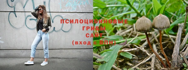 кокаин премиум Богданович